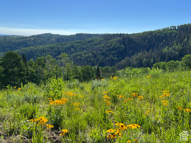 Fairview, Utah 84629, ,Land,Recreational,2021151