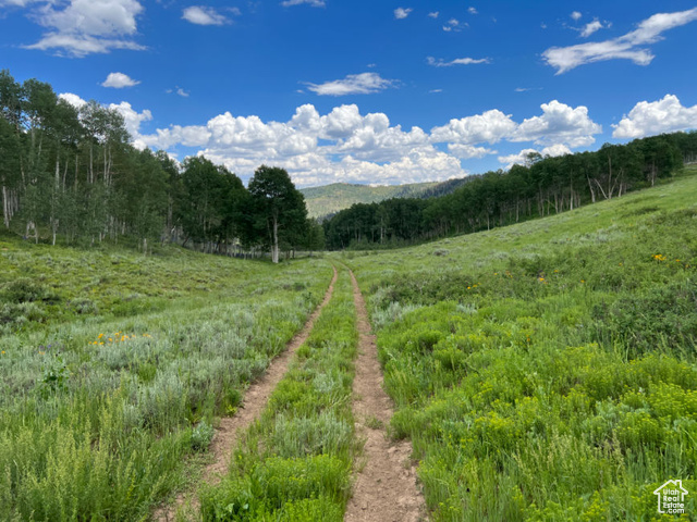 Fairview, Utah 84629, ,Land,Recreational,2021154