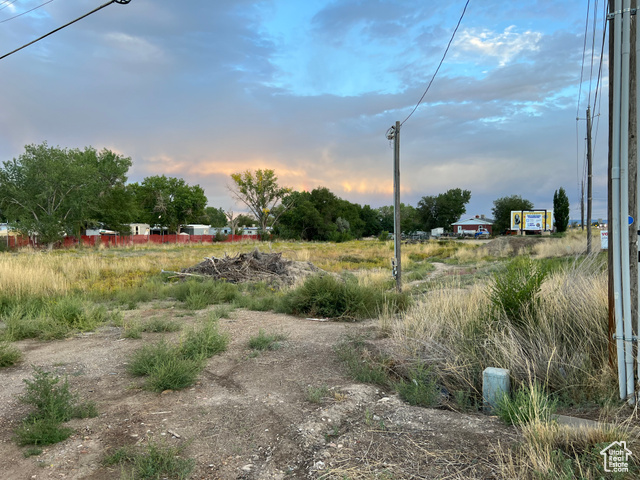 View of yard at dusk