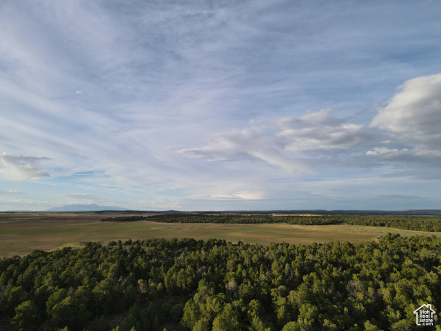 491 EASTLAND RD, Monticello, Utah 84535, ,Land,Agriculture,491 EASTLAND RD,2021294