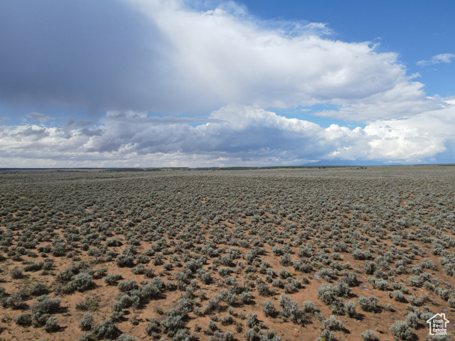 22540 PETER SPRINGS RD, Monticello, Utah 84535, ,Land,Agriculture,22540 PETER SPRINGS RD,2021308