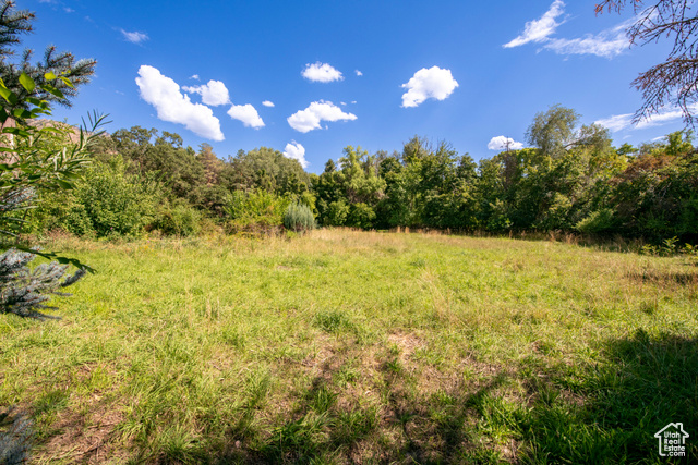 Photo 20 for MLS #2021309 at 2633 E 6200 South