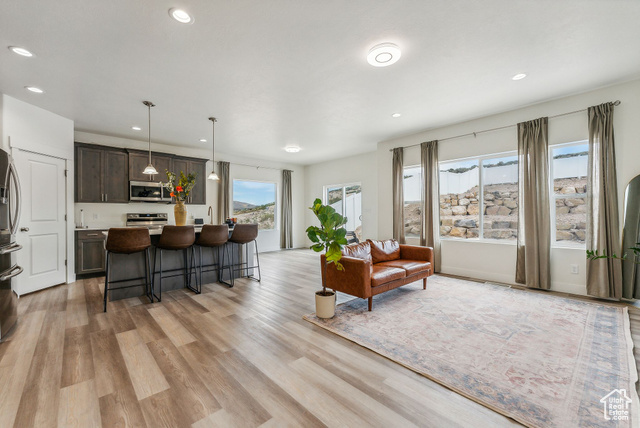 Living room featuring light hardwood / wood-style flooring