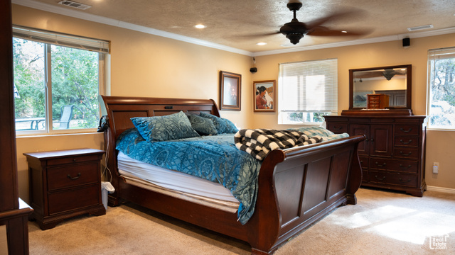 Photo 8 for MLS #2021828 at 10175 S Dimple Dell Rd