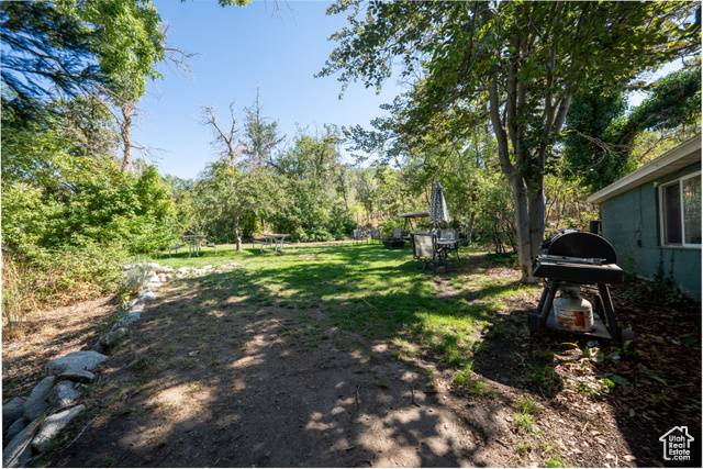Photo 50 for MLS #2021828 at 10175 S Dimple Dell Rd