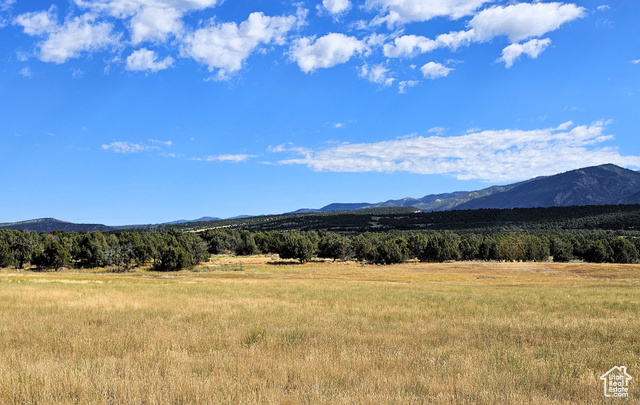 6 JUNIPER FLDS, Fairview, Utah 84629, ,Land,Residential,6 JUNIPER FLDS,2022414