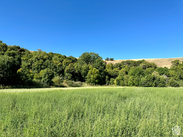 View of property nestled in with a natural boundary