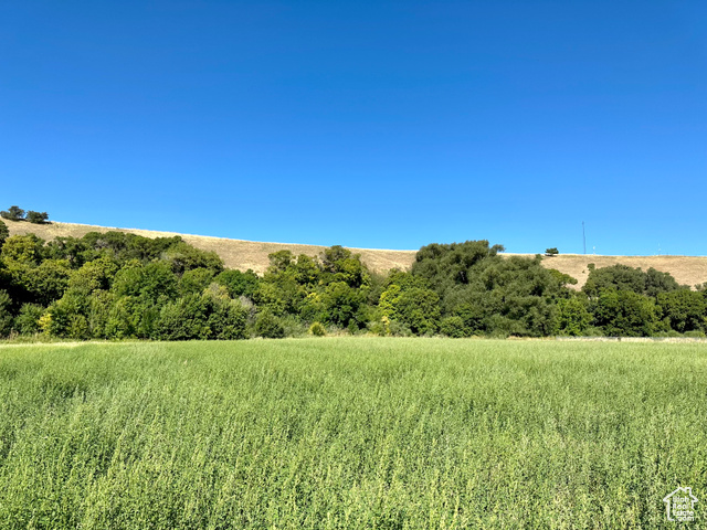 View of the lush green landscape of the property