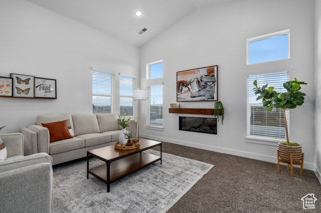 Living room featuring high vaulted ceiling cozy fireplace.