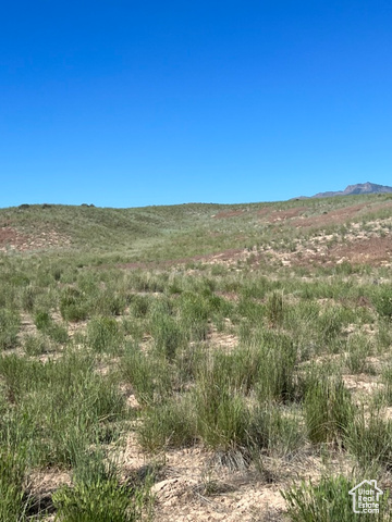 View of local wilderness featuring a mountain view