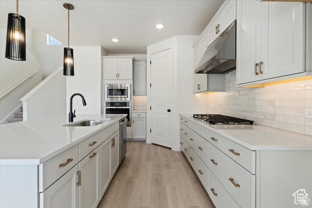 Kitchen featuring light hardwood / wood-style flooring, stainless steel appliances, sink, decorative backsplash, and white cabinets