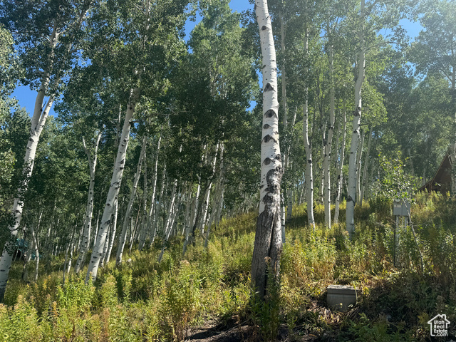 View of landscape