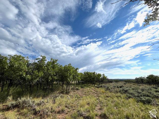 106 N PORCUPINE LN, La Sal, Utah 84530, ,Land,Residential,106 N PORCUPINE LN,2022861