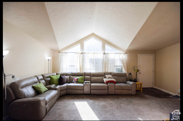 Carpeted living room featuring a textured ceiling and lofted ceiling