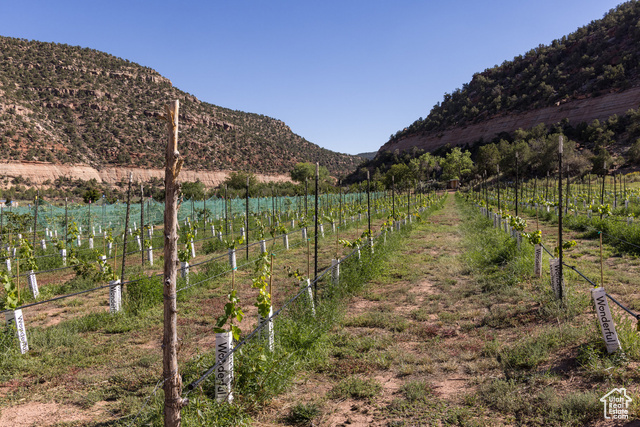 Photo 58 for MLS #2023446 at 1035 S Montezuma Canyon Rd