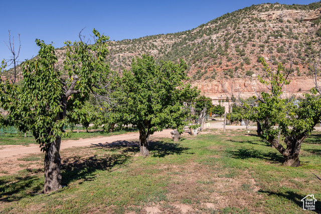 Photo 29 for MLS #2023446 at 1035 S Montezuma Canyon Rd
