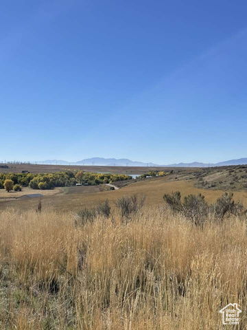 Preston, Idaho 83263, ,Land,Agriculture,2024295