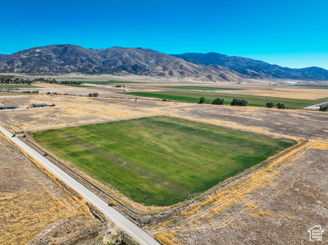 Levan, Utah 84639, ,Land,Agriculture,2027915