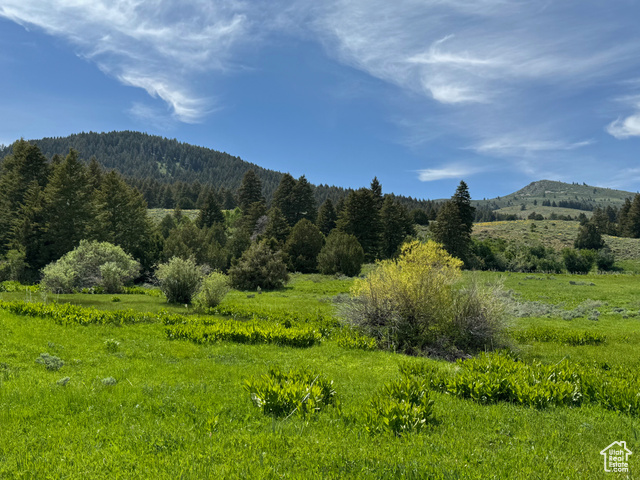 1200 S Lands Creek Rd E