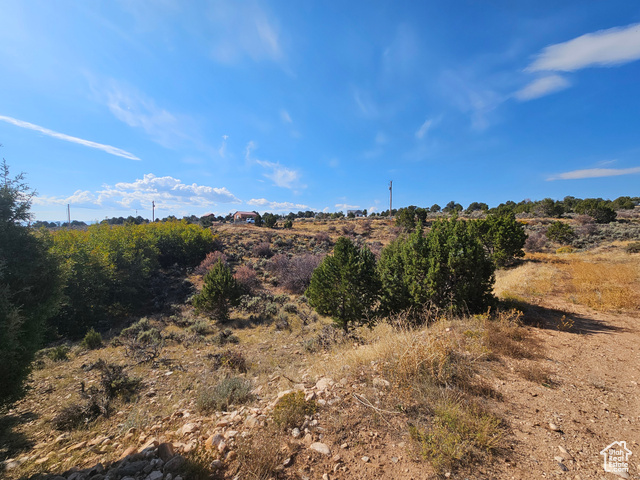 Beautiful Property Views!