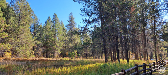 View of nature