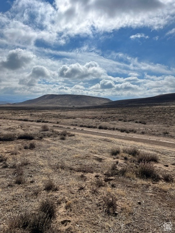 Gunnison, Utah 84634, ,Land,Agriculture,2028984