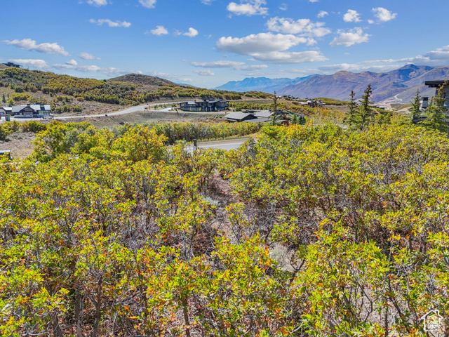 Stunning south-facing views of Mount Timpanogos