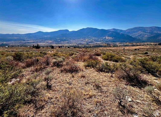 39 CARIBOU CIR, Bancroft, Idaho 83217, ,Land,Recreational,39 CARIBOU CIR,2029366