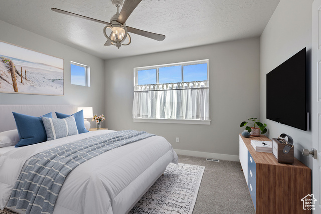 Photo 18 for MLS #2030000 at 7279 S Kenadi Ct