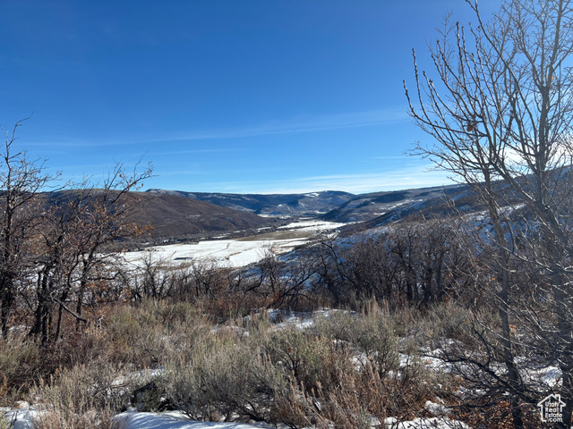 Provo River + Woodland Valley View!