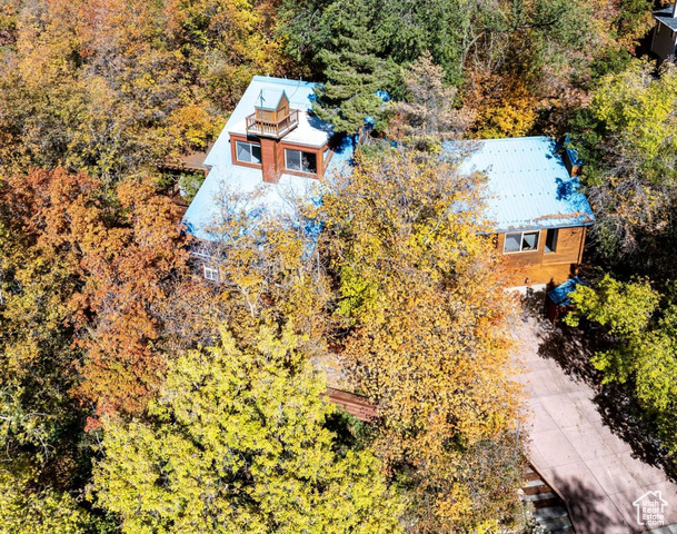 Aerial View of home