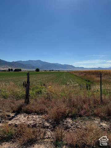 1400 E 800 N, Elsinore, Utah 84724, ,Land,Residential,1400 E 800 N,2031574