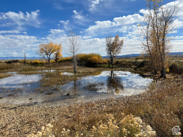 Elmo, Utah 84521, ,Land,Residential,2032043