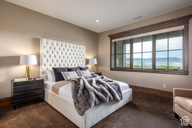 Photo 61 for MLS #2032213 at 1254 N Explorer Peak Cir