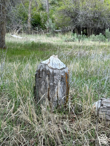 S ECHO FRONTAGE RD E