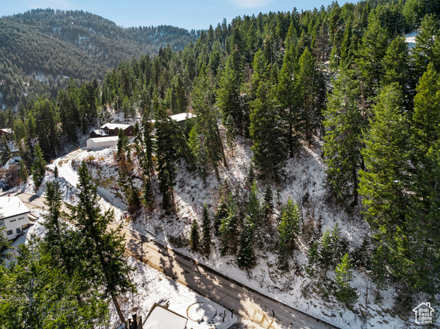 385 UPPER EVERGREEN DR, Park City, Utah 84098, ,Land,Residential,385 UPPER EVERGREEN DR,2033286