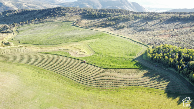 Drone / aerial view featuring a mountain view and a rural view