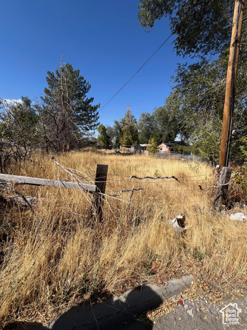 View of yard featuring a rural view