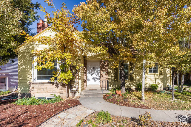 Front door, framed by grapevines and aspens