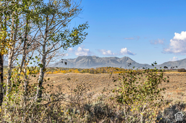 Mountain view