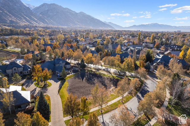 Aerial view with a mountain view