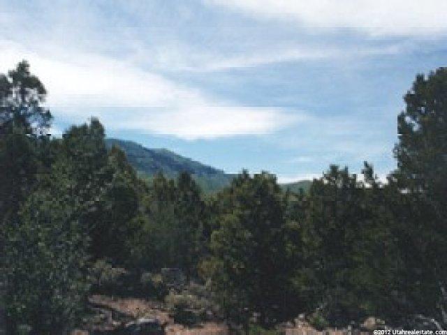 1003 Pinnion Loop #244, Tabiona, UT 84072 — photo 4