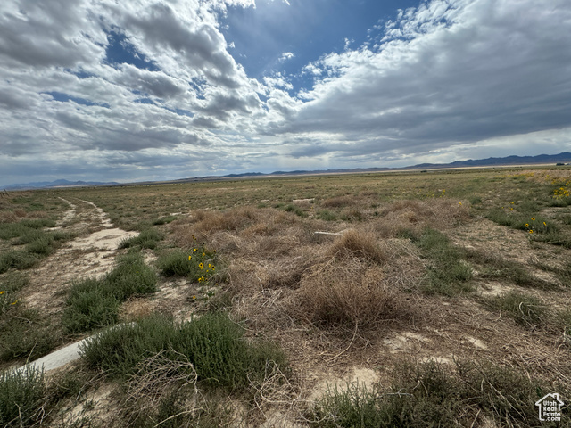 View of nature with a rural view