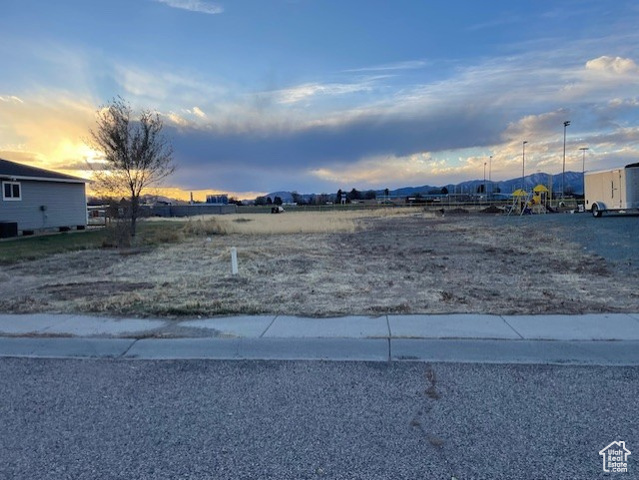 View of yard at dusk