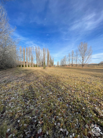 View of local wilderness with a rural view