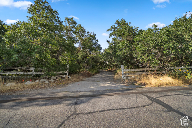 Photo 8 for MLS #2052046 at 10665 S Dimple Dell Dr