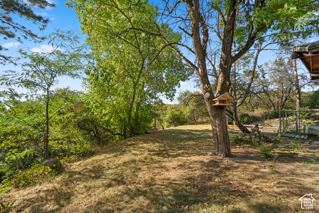 Photo 6 for MLS #2052046 at 10665 S Dimple Dell Dr