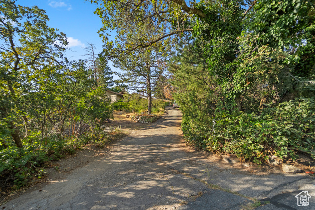 Photo 7 for MLS #2052046 at 10665 S Dimple Dell Dr