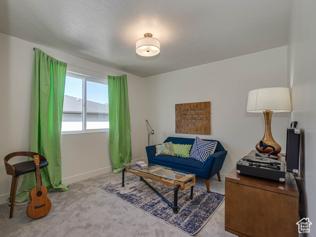 Photo 14 for MLS #2052344 at 7407 S Pearson Park #14