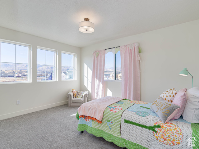 Photo 13 for MLS #2052344 at 7407 S Pearson Park #14